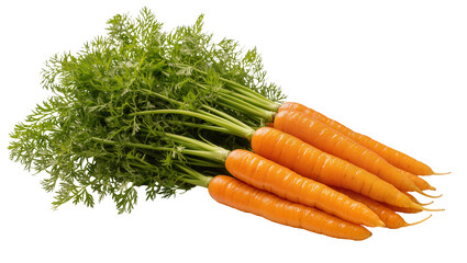 carrot
