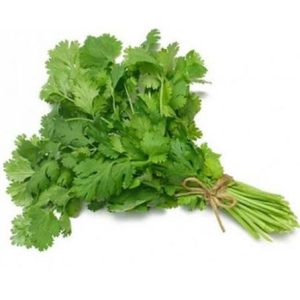 Coriander Leaves (கொத்துமல்லி)