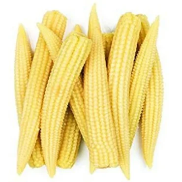Baby Corn(சிறிய மக்காச்சோளம்)