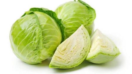 Cabbage (முட்டைக்கோஸ்)
