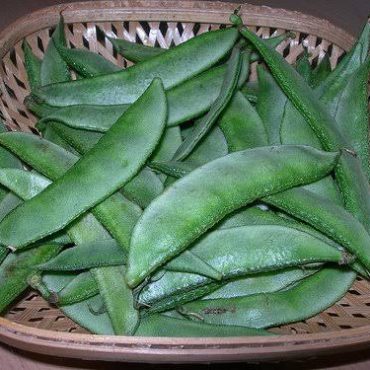 Broad Beans (அவரைக்காய்)