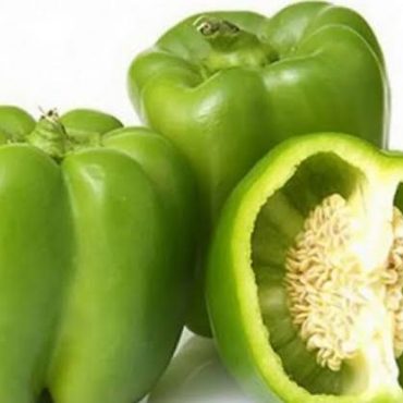 Capsicum (குடைமிளகாய்)