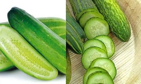 Cucumber (வெள்ளரிக்காய்)